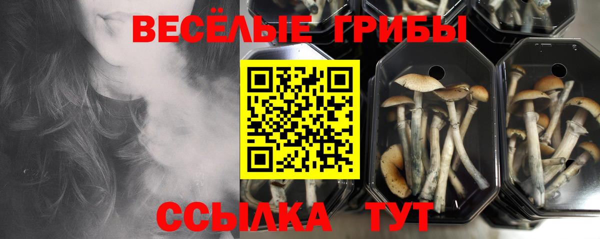 Нягань  Псилоцибиновые грибы GOLDEN TEACHER  Вход с VPN 